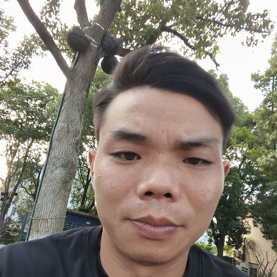 晚风轻语